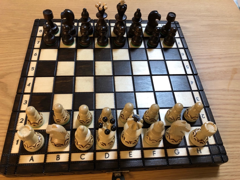 ポーランド製チェスセットの購入レビュー チェス夫婦 EAのチェスブログ